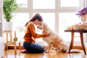 Veterinary support during pet euthanasia